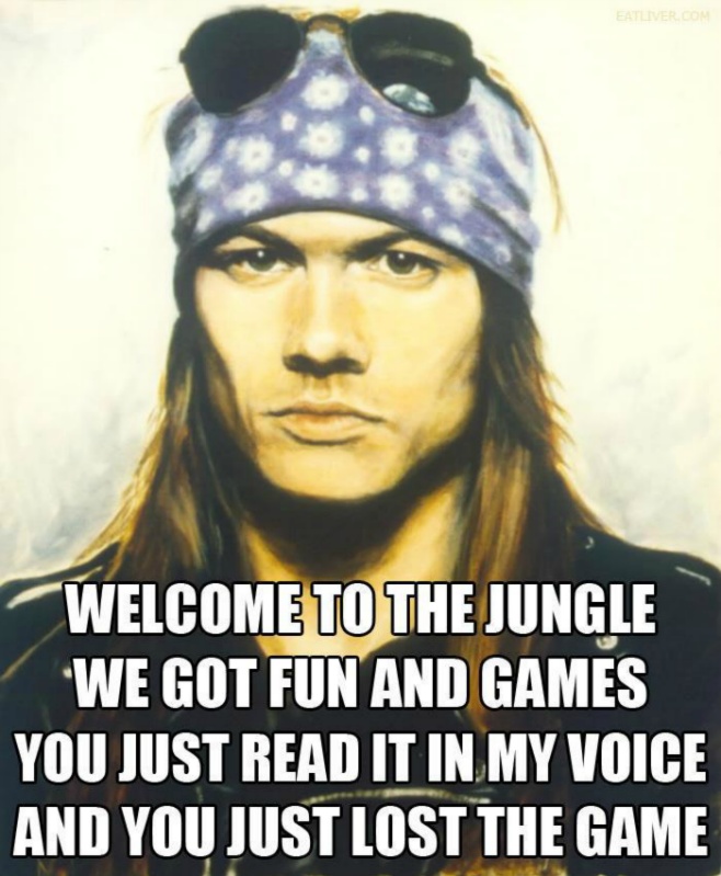 Welcome To The Jungle We Got Fun And Games You Just Read It In My Voice And You Just Lost The Game