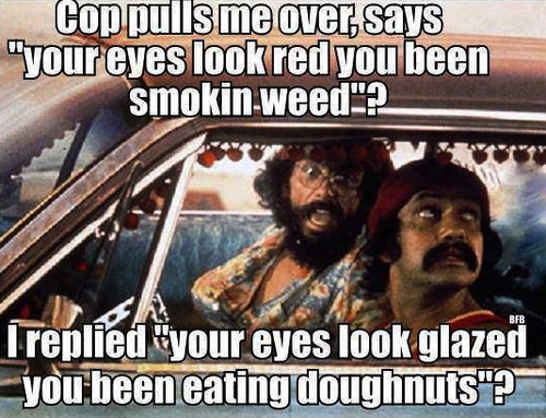 Cop lulls me over, says your eyes look red you been smoking weed ?
