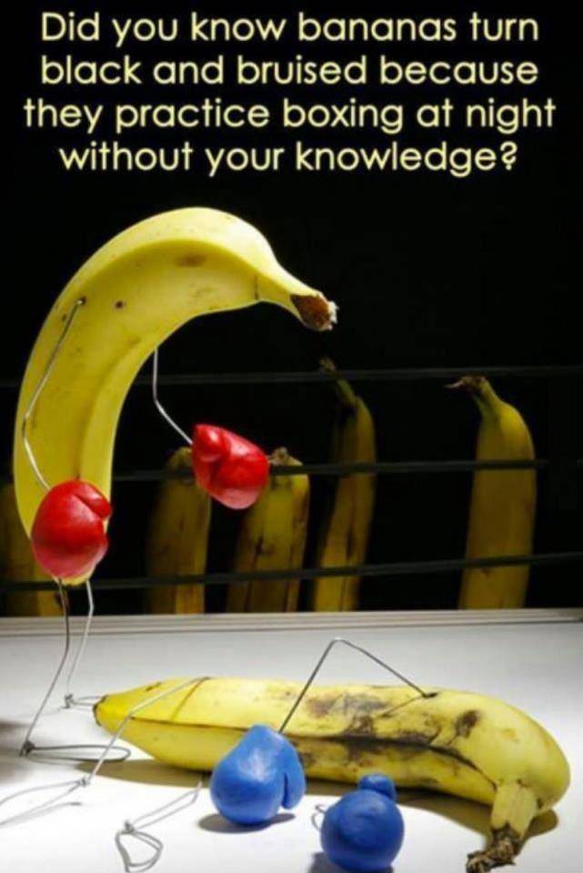 Did you know bananas turn black and bruised because they practice boxing at night.