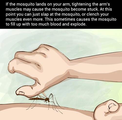 How to kill mosquito on your arm - Ultimate advice