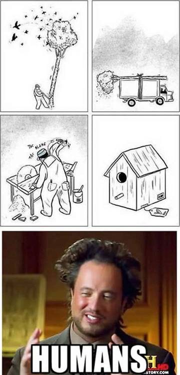 Humans you must love them.