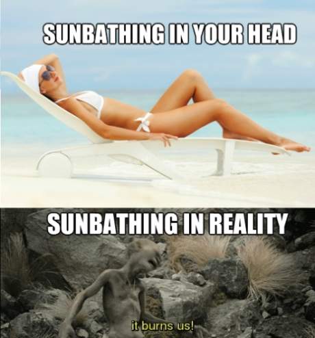 Sunbathing in your head and sunbathing in reality.