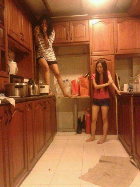 The power of a cockroach