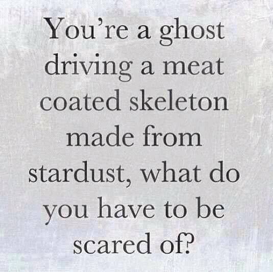 You're a ghost drivng a meat coated skeleton made from stardust