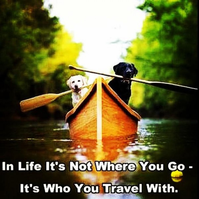 In life it's not where you go it's who you travel with