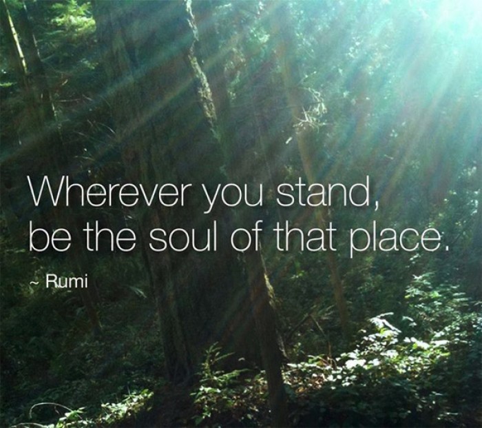 Rumi - Wherever you stand, be the soul of that place. 