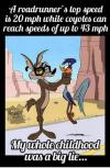 A roadrunner