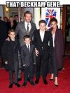 That Beckham gene...