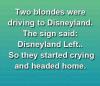 Two blondes were driving to Disneyland...