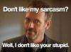 Don't like me sarcasm? Well I don't like your stupid.